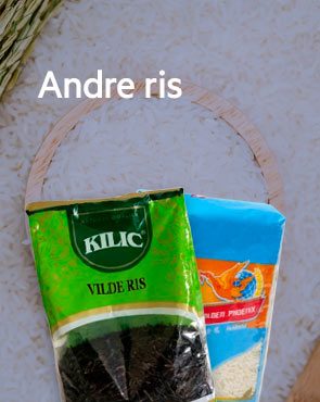 Andre Ris