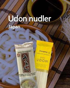 Udon nudler