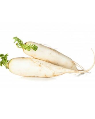 Kinaradise daikon japansk ræddike (Raphanus sativus)